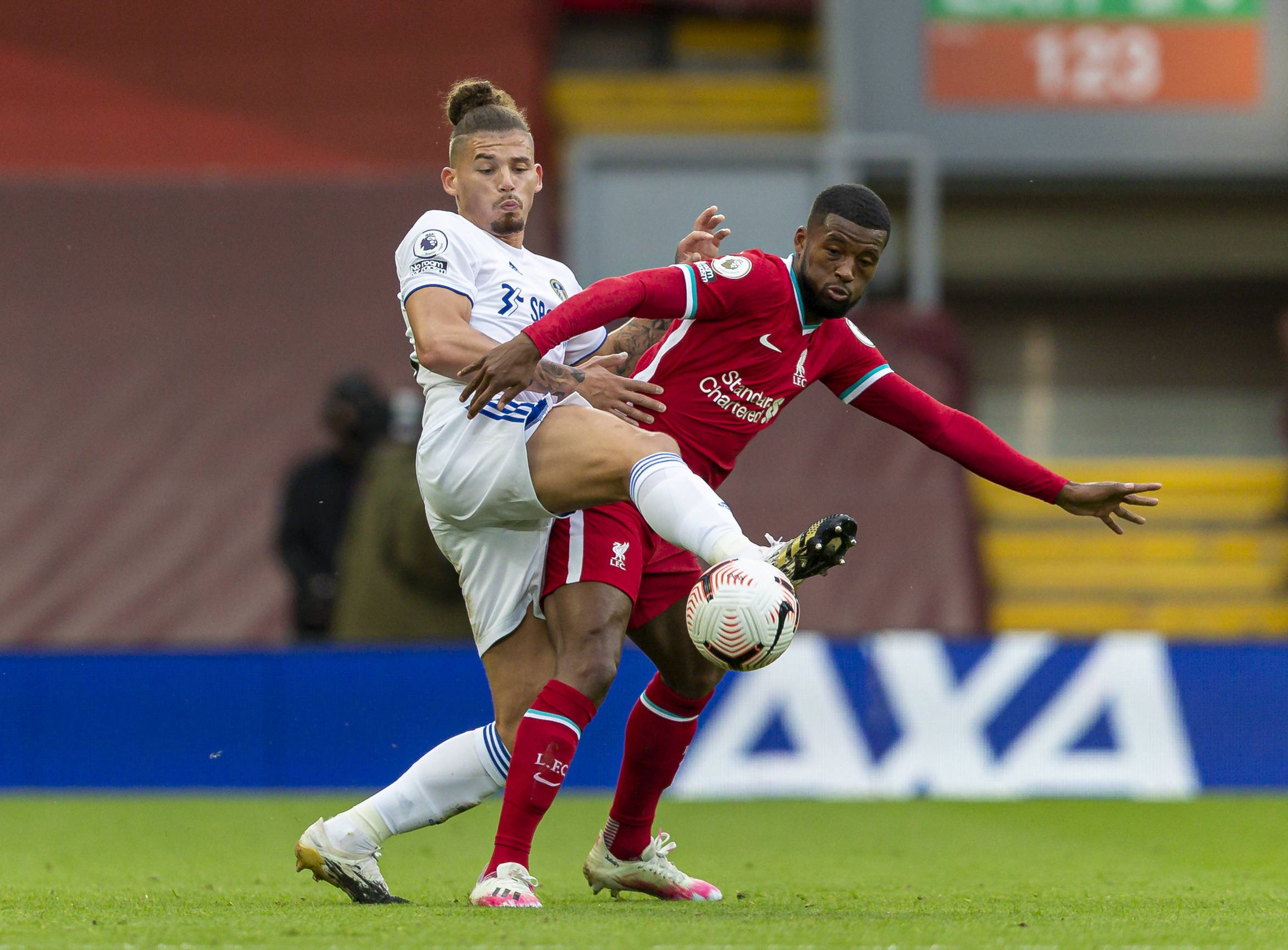 他们的新任 他们的新任