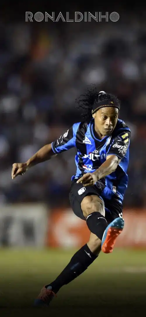 官方信息 官方信息